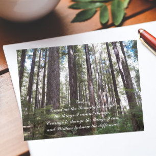 セレニティ感動的祈りの言葉サンライトフォレスト ポストカード