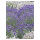 セレニティ感動的祈りの言葉ラベンダーガーデン クリップボード (裏面)