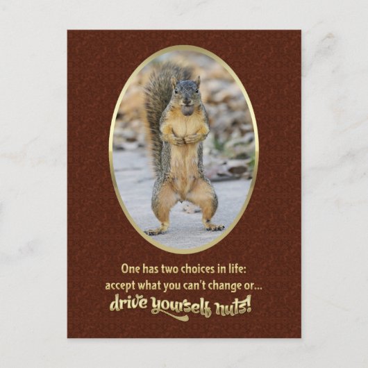 セレニティ祈りの言葉のナッツシェル ポストカード (正面)