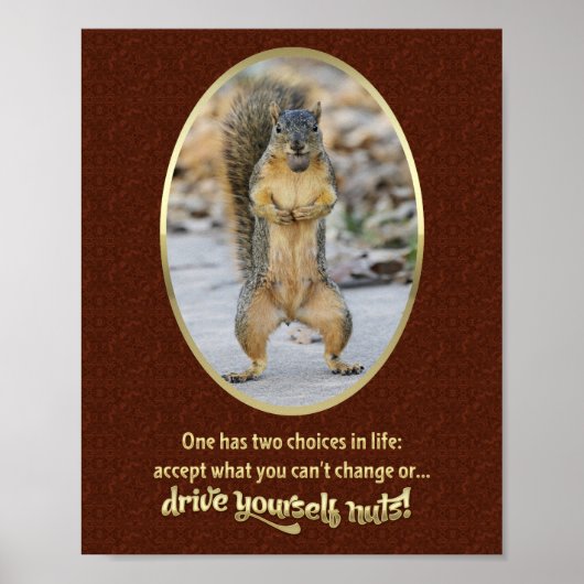 セレニティ祈りの言葉イン・ザ・ナットシェル ポスター (正面)