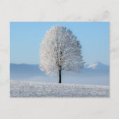 セレニティ祈りの言葉ウィンターツリー ポストカード (正面)