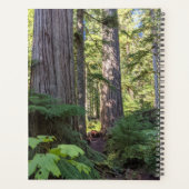 セレニティ祈りの言葉グリーンフォレスト プランナー手帳 (裏面)