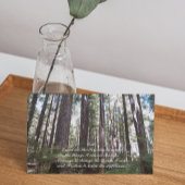 セレニティ祈りの言葉サンライトフォレストフォト空白の カード