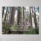 セレニティ祈りの言葉サンライトフォレストフォト ポスター (正面)
