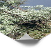 セレニティ祈りの言葉ポスター ポスター (角)