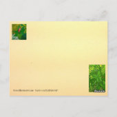 セレニティ祈りの言葉ポストカード/ノートカード ポストカード (裏面)