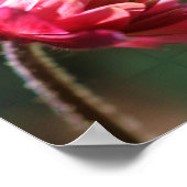 セレニティ祈りの言葉感動的フラワー ポスター (角)