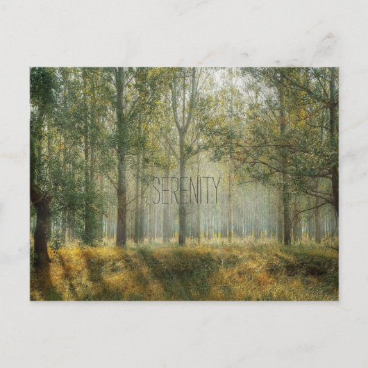 セレニティ自然はがき ポストカード (正面)