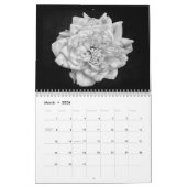 セレニティ12か月カレンダー カレンダー (3月 2026)