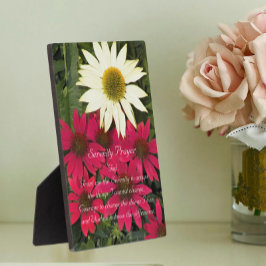 セレニティ・プレイヤー 赤いコーンフラワー 花 フォトプラーク