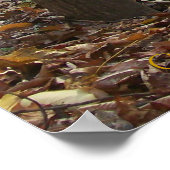 セレニティ ポスター (角)