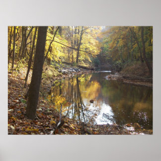 セレニティ ポスター