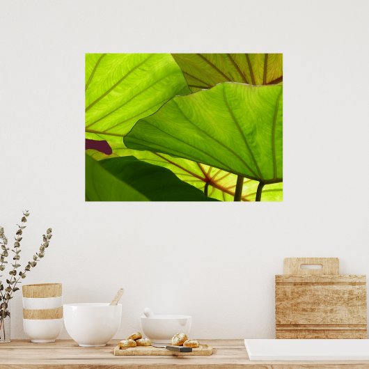 セレニティ ポスター (キッチン)