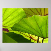 セレニティ ポスター (正面)