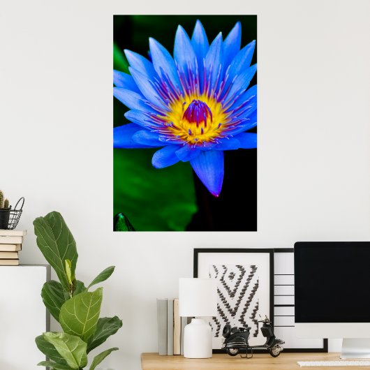 セレニティ – ポスター (ホームオフィス)