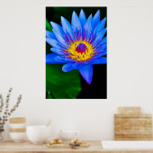 セレニティ – ポスター (キッチン)