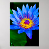 セレニティ – ポスター (正面)