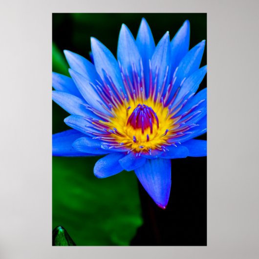 セレニティ – ポスター (正面)