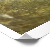 セレニティ ポスター (角)