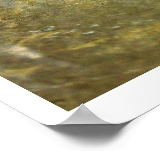 セレニティ ポスター (角)