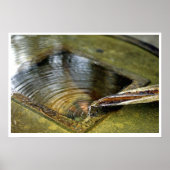 セレニティ ポスター (正面)