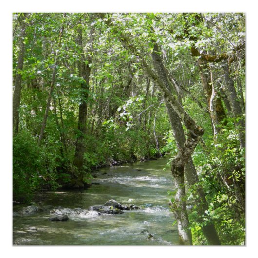 セレニティ….. ポスター (正面)