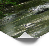 セレニティ….. ポスター (コーナー)