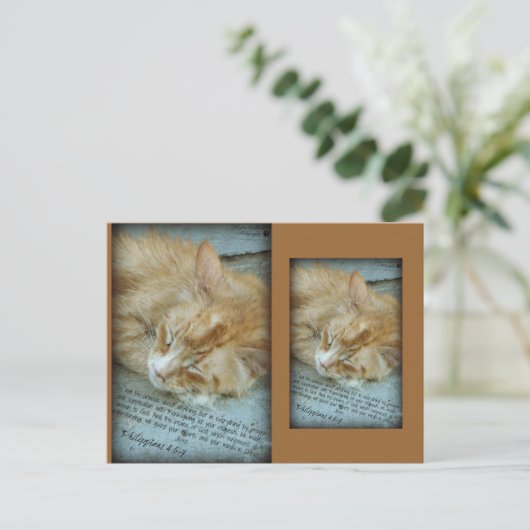 セレニティ ポストカード (スタンド正面)