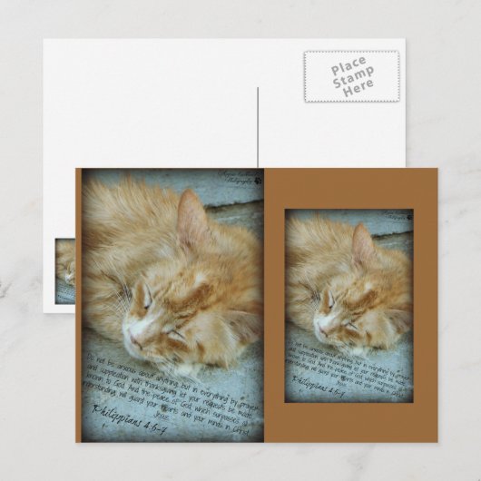 セレニティ ポストカード (正面/裏面)