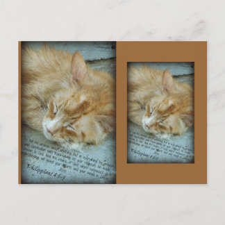 セレニティ ポストカード