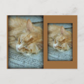 セレニティ ポストカード (正面)