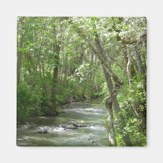 セレニティ….. マグネット (正面)