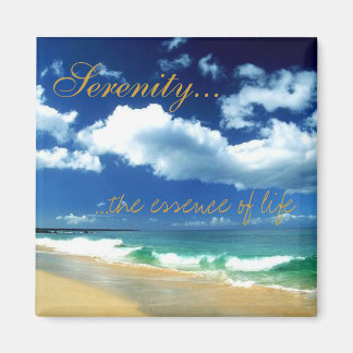 セレニティ…人生の本質 マグネット