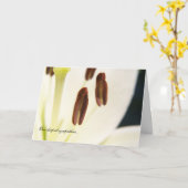 「セレニティ」悔やみや弔慰/死別カード カード (黄色い花)