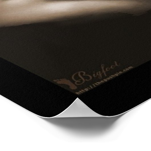 セレニティv1 ポスター (角)