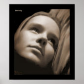 セレニティv1 ポスター (正面)