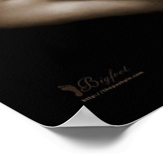 セレニティV2 ポスター (角)