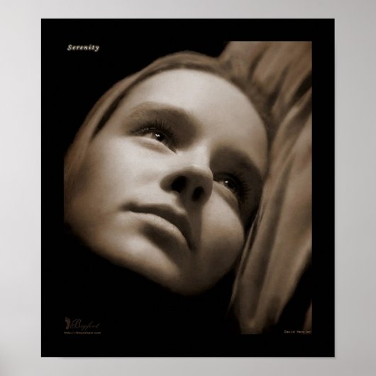 セレニティV2 ポスター (正面)