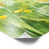 セレネダンデリオンフィールドウォーター色 フォトプリント            (角)