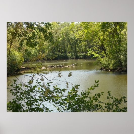 セレネ2 ポスター (正面)