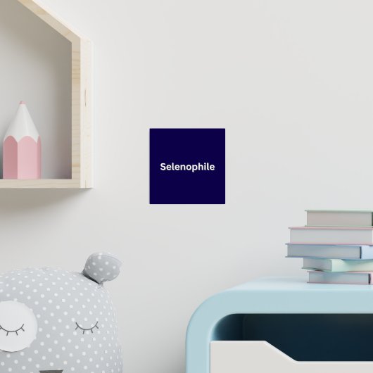 セレノピールムーン恋人 箔ポスター (インサイチュ (子供部屋))