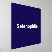 セレノピールムーン恋人 箔ポスター (レイダウン)