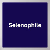 セレノピールムーン恋人 箔ポスター (正面)