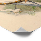 セレビーンエラヌスホワイトカイトバードアートヴィンテージプリント ポスター (角)