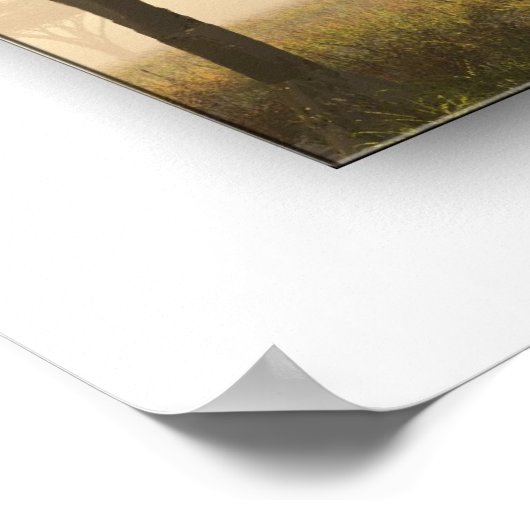 セレンゲチ ポスター (角)