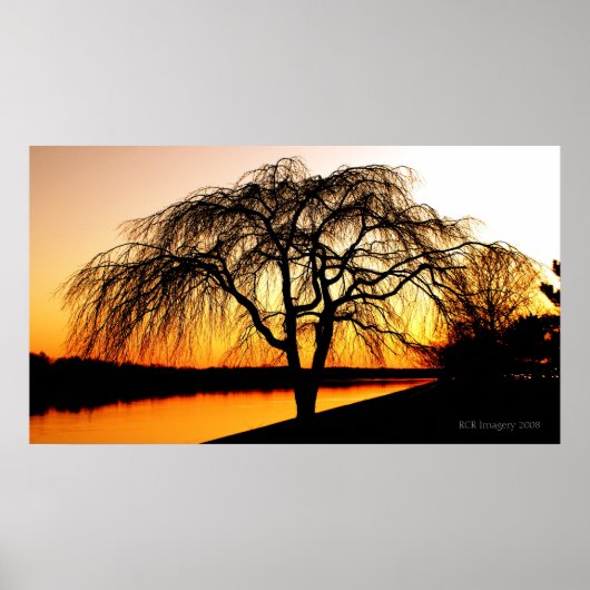 セレンゲティインザシティー ポスター (正面)