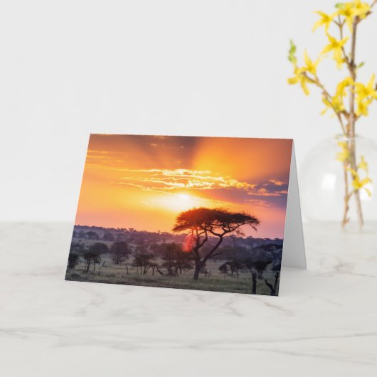 セレンゲティ国立公園のサファリ カード (黄色い花)