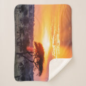 セレンゲティ国立公園のサファリ シェルパブランケット (正面)