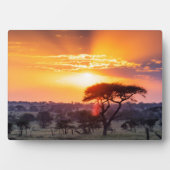 セレンゲティ国立公園のサファリ フォトプラーク (正面)