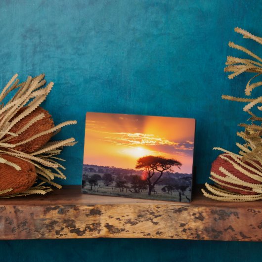 セレンゲティ国立公園のサファリ フォトプラーク (側面)